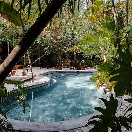 Tulum Tree House - 5Br Villa With Beach Access By Aldea Canzul